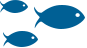 w6.jpg