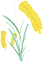 w16.jpg