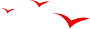 w15.jpg