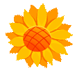 w10.jpg