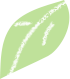 w5.jpg