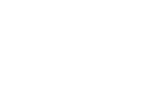 w16.jpg