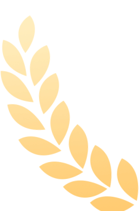 w1.jpg