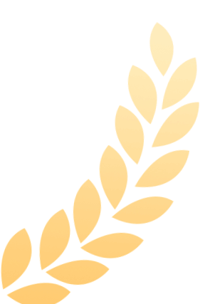 w2.jpg
