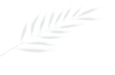 w6.jpg