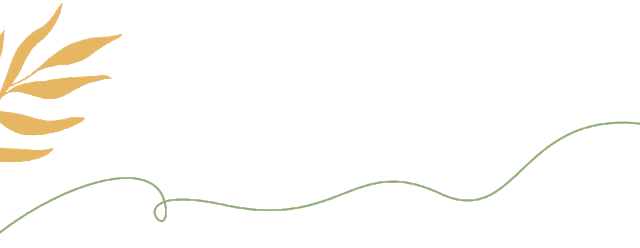 w15.jpg