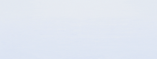 w4.jpg