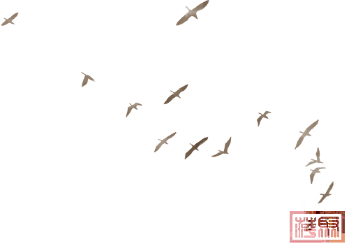 w6.jpg
