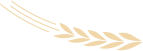 w1.jpg