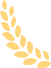 w4.jpg
