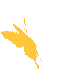 w42.jpg