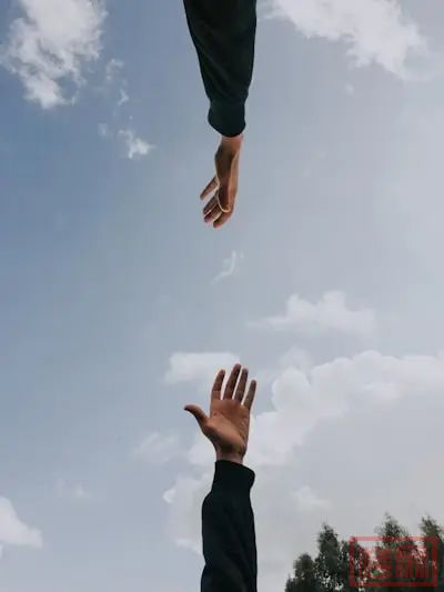 w16.jpg