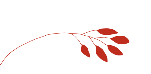w9.jpg
