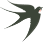 w9.jpg
