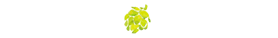 w29.jpg