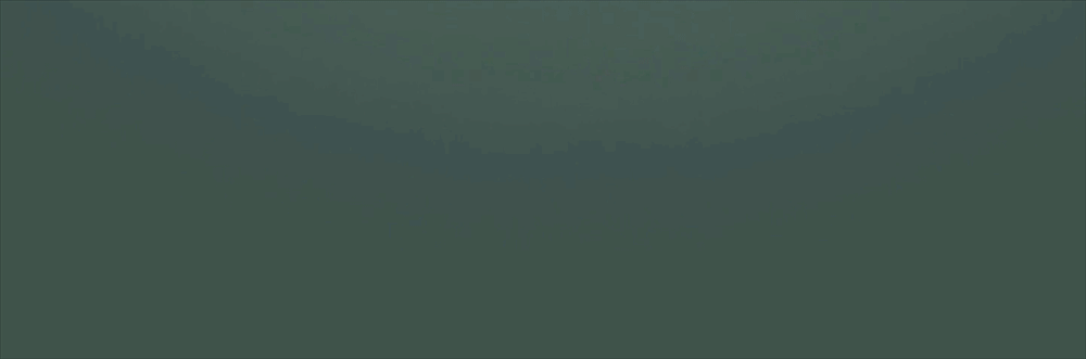 w1.jpg