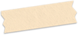 w5.jpg