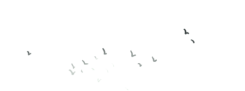w5.jpg