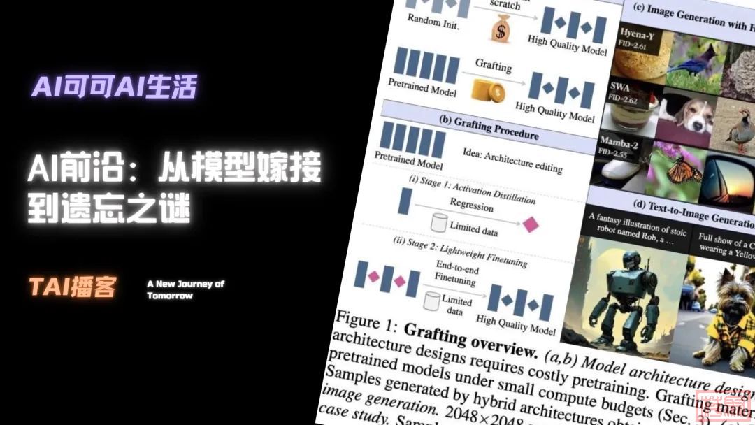 w1.jpg