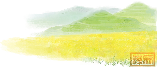 w15.jpg
