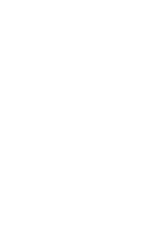 w3.jpg