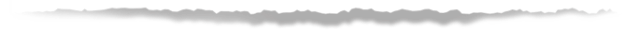 w2.jpg