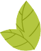 w1.jpg