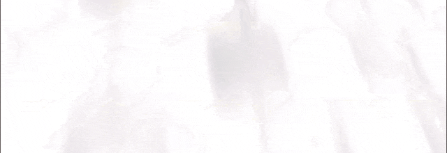 w1.jpg