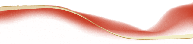 w14.jpg