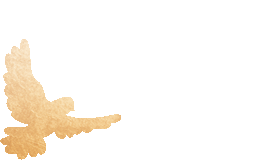 w16.jpg
