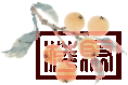 w2.jpg
