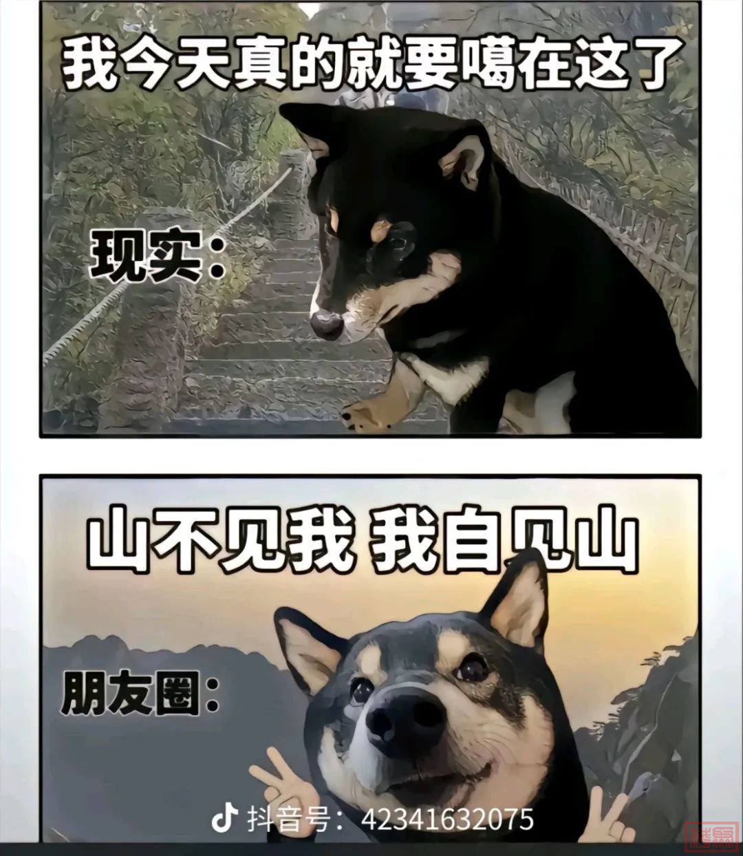 w9.jpg