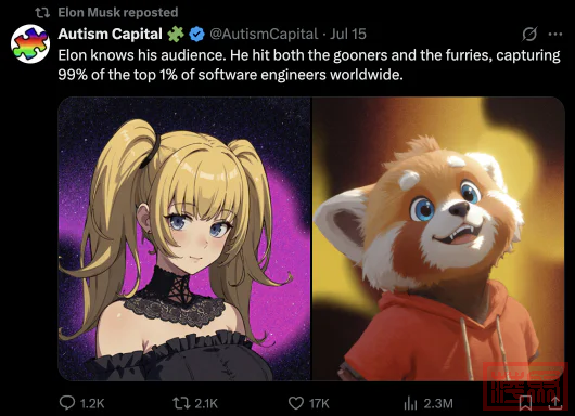 w5.jpg