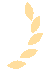 w13.jpg