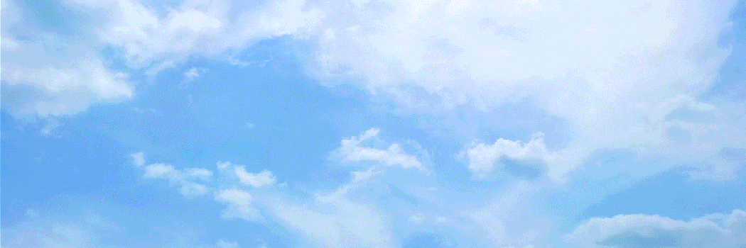 w1.jpg