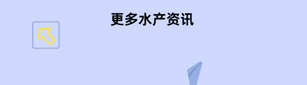 w1.jpg