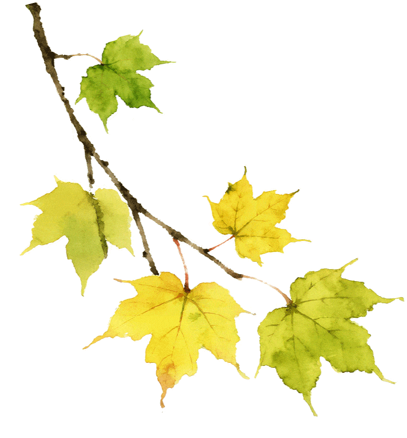 w11.jpg