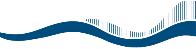 w2.jpg