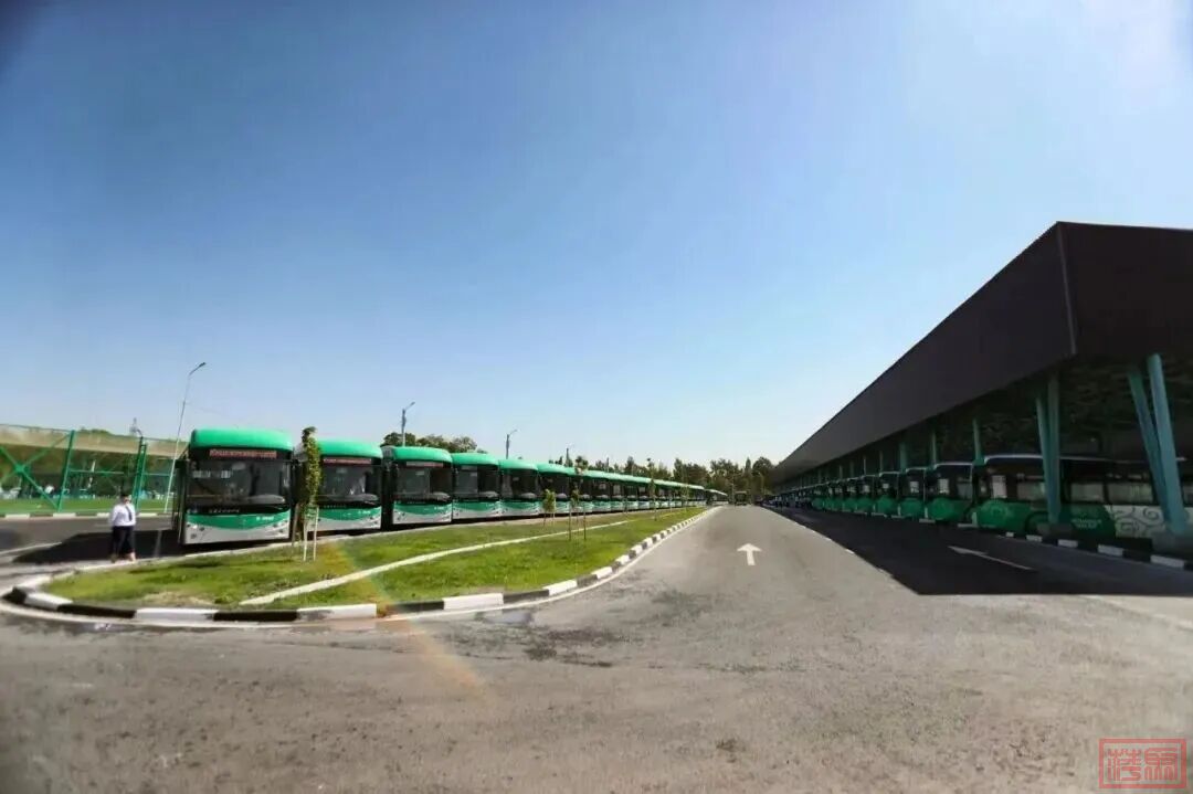 w5.jpg