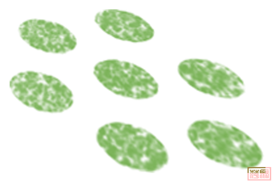 w6.jpg