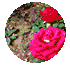 w14.jpg