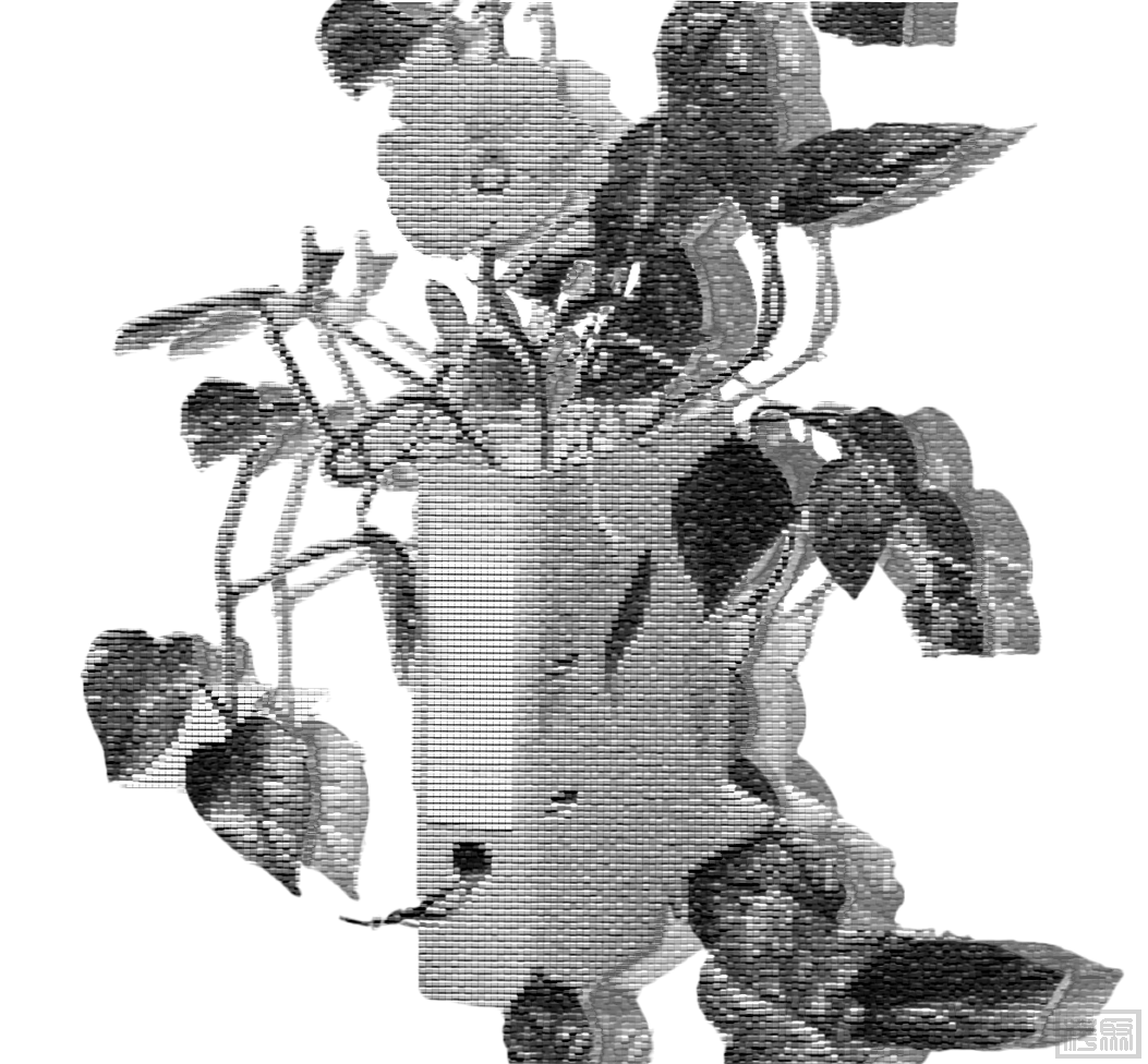 w5.jpg