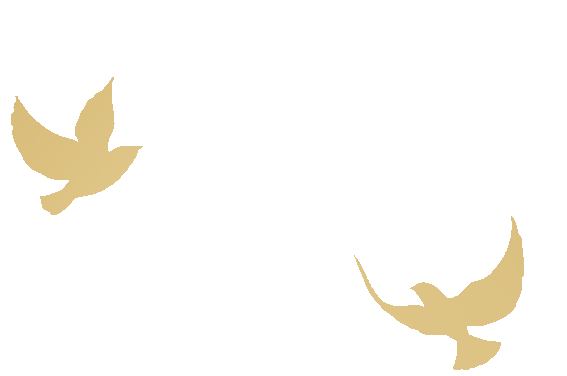 w2.jpg