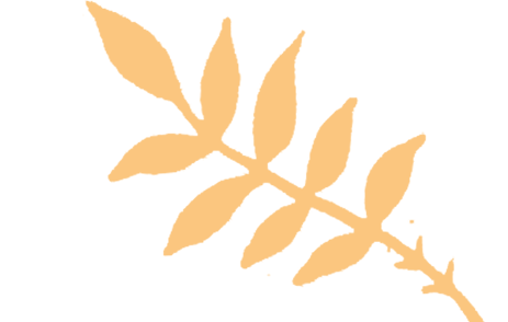 w4.jpg