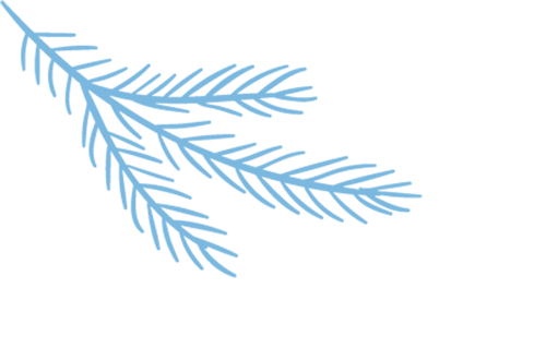 w18.jpg