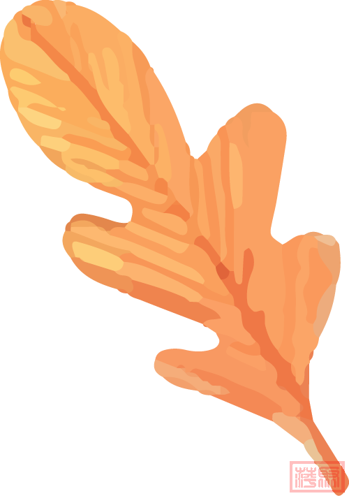 w10.jpg